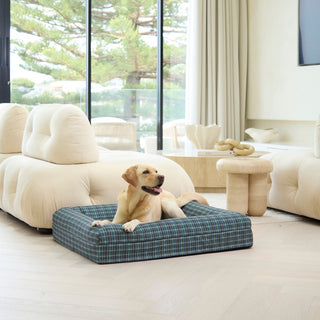 Memory Foam Dog Bed - Canvas Mistletoe