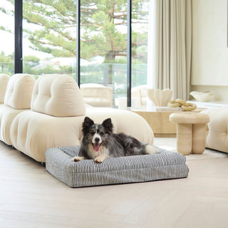 Memory Foam Dog Bed - Canvas Navy Lines