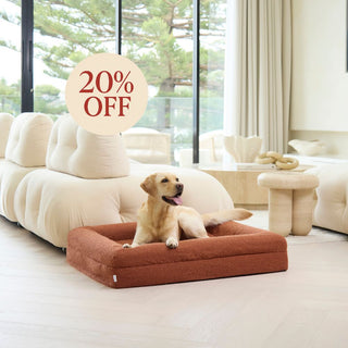 Memory Foam Dog Bed - Boucle Terracotta