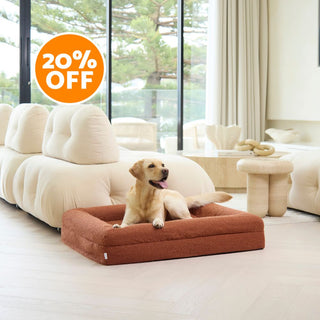 Memory Foam Dog Bed - Boucle Terracotta