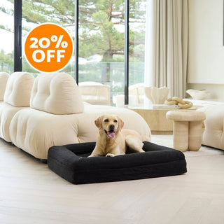 Memory Foam Dog Bed - Boucle Nero