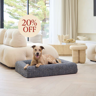 Memory Foam Dog Bed - Boucle Speckle Blue