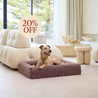 Memory Foam Dog Bed - Boucle Speckle Red