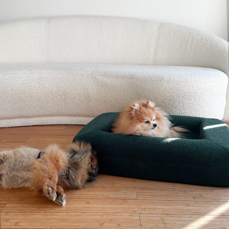 Memory Foam Dog Bed Boucle Forest Green Dazy Dog