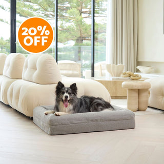 Memory Foam Dog Bed - Boucle Pebble