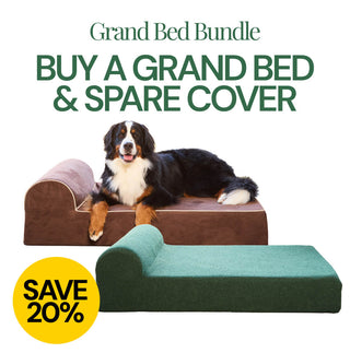 Extra Large Grand Bed and Extra Cover Bundle