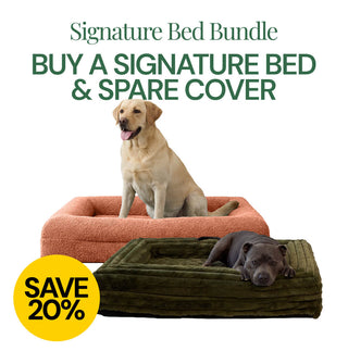 Extra Large Bed with Extra Cover Bundle