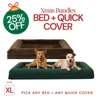 Extra Large Bed with Quick Cover Bundle