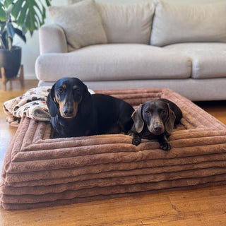 Large Bed with Quick Cover Bundle