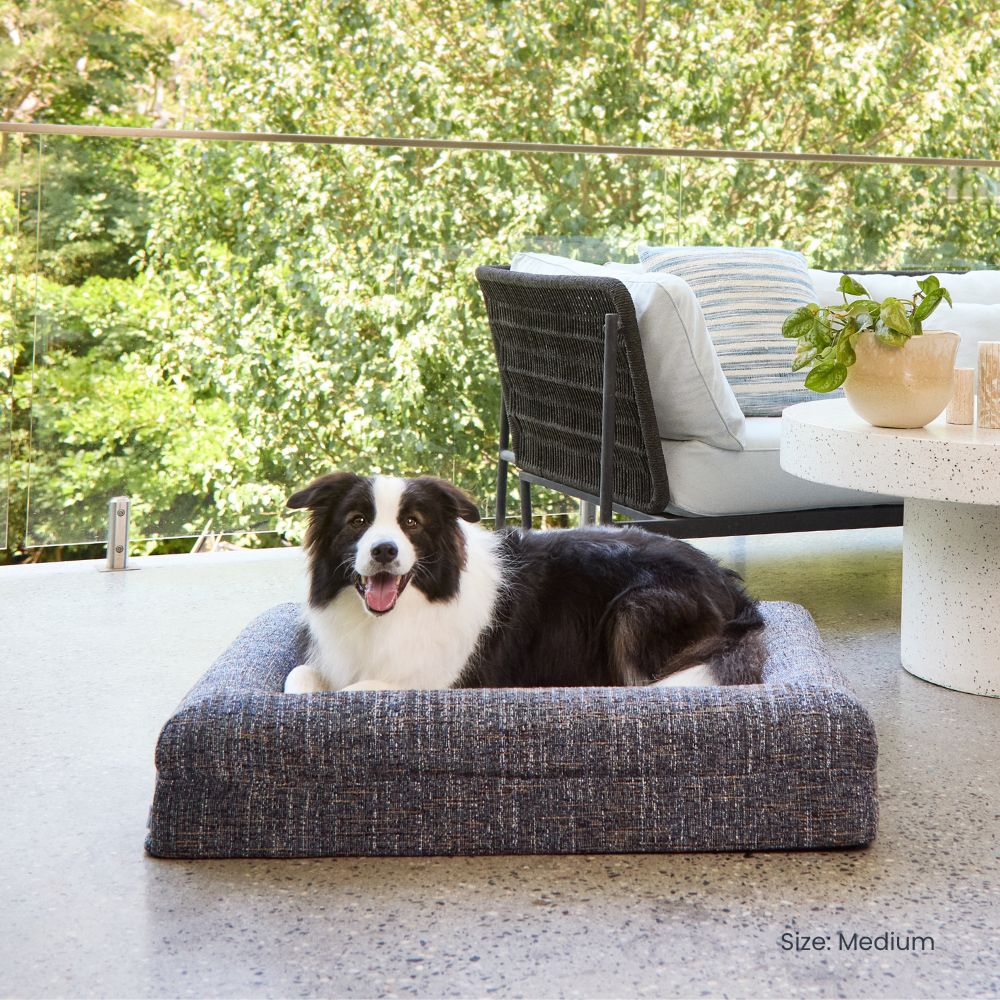Memory Foam Dog Bed - Bouclé Speckle Blue