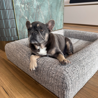 Dazy Dog Speckle Boucle Black and White Dog Bed