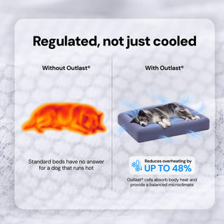 Cooling Dog Bed - Seaweed Memory Foam
