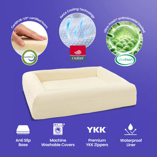 Cooling Dog Bed - Natural Memory Foam