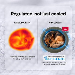 Cooling Round Dog Bed - Midnight