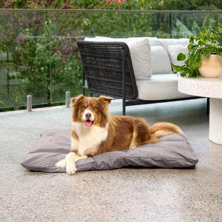 Lounger FREE GIFT