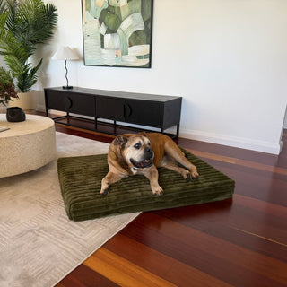 Puffer Crate Mat - Fern