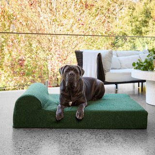 Grand Bed - Bouclé Forest Green