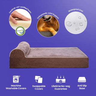 Medium Grand Bed and Extra Cover Bundle