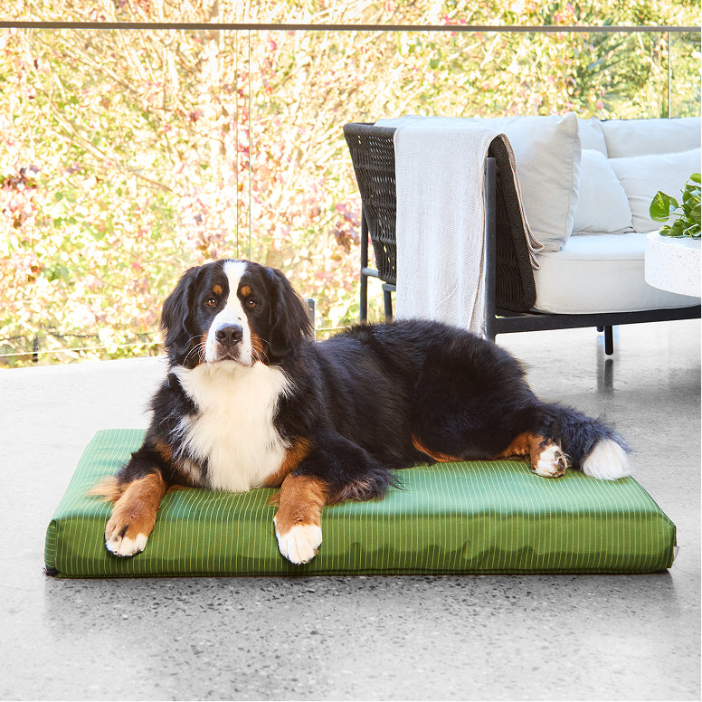 Kevlar® Cover for the Mattress