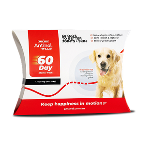 Antinol Plus FREE GIFT