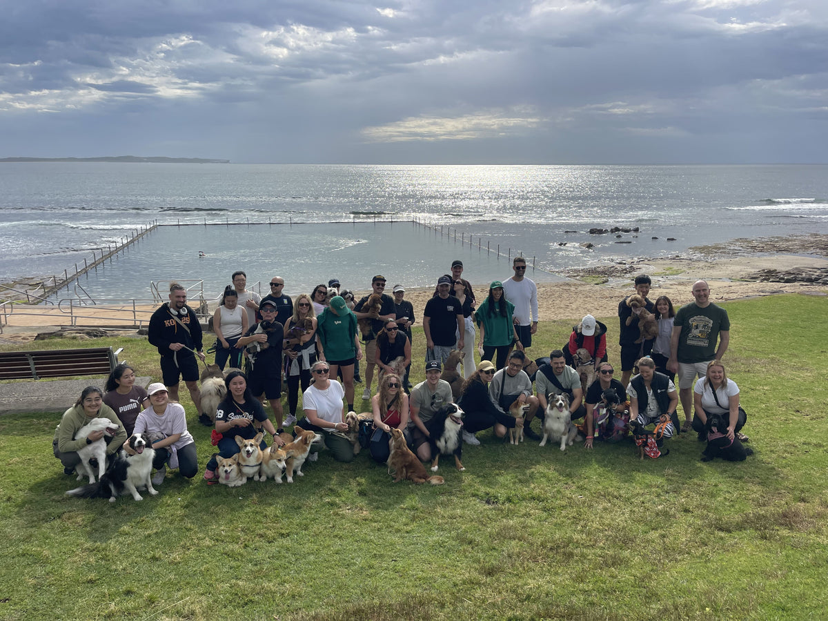 We're building a community of dog owners who actually care.