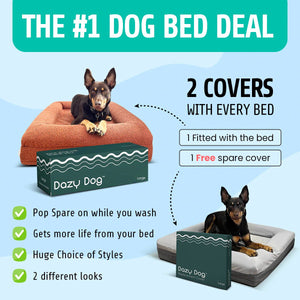 Memory Foam Dog Bed - Shag