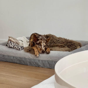 Memory Foam Dog Bed - Plush Grey