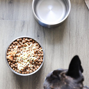 Stainless Steel Dog Bowl