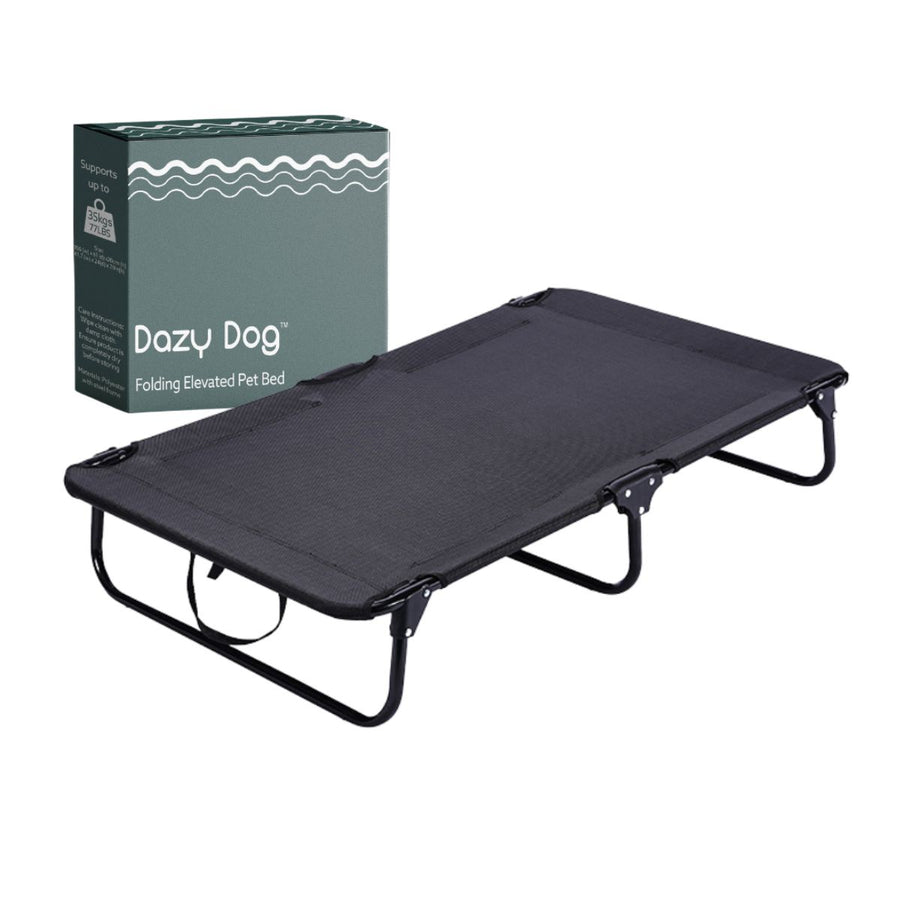 Elevated folding hot sale dog bed
