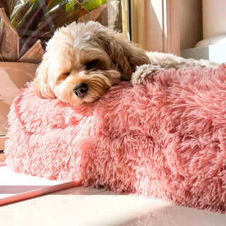 Cover - Shag Pink