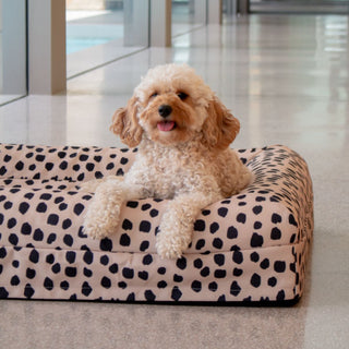 Memory Foam Dog Bed - Canvas Black Sands