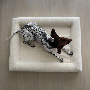 Memory Foam Dog Bed - Boucle Ivory