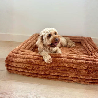 Memory Foam Dog Bed - Puffer Nutmeg