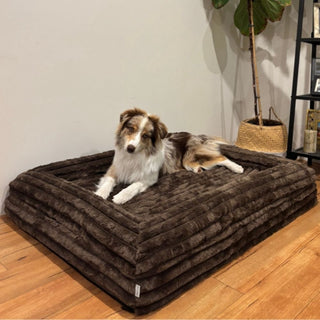 Memory Foam Dog Bed - Puffer Truffle