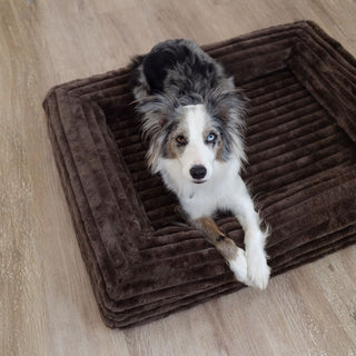 Memory Foam Dog Bed - Puffer Truffle