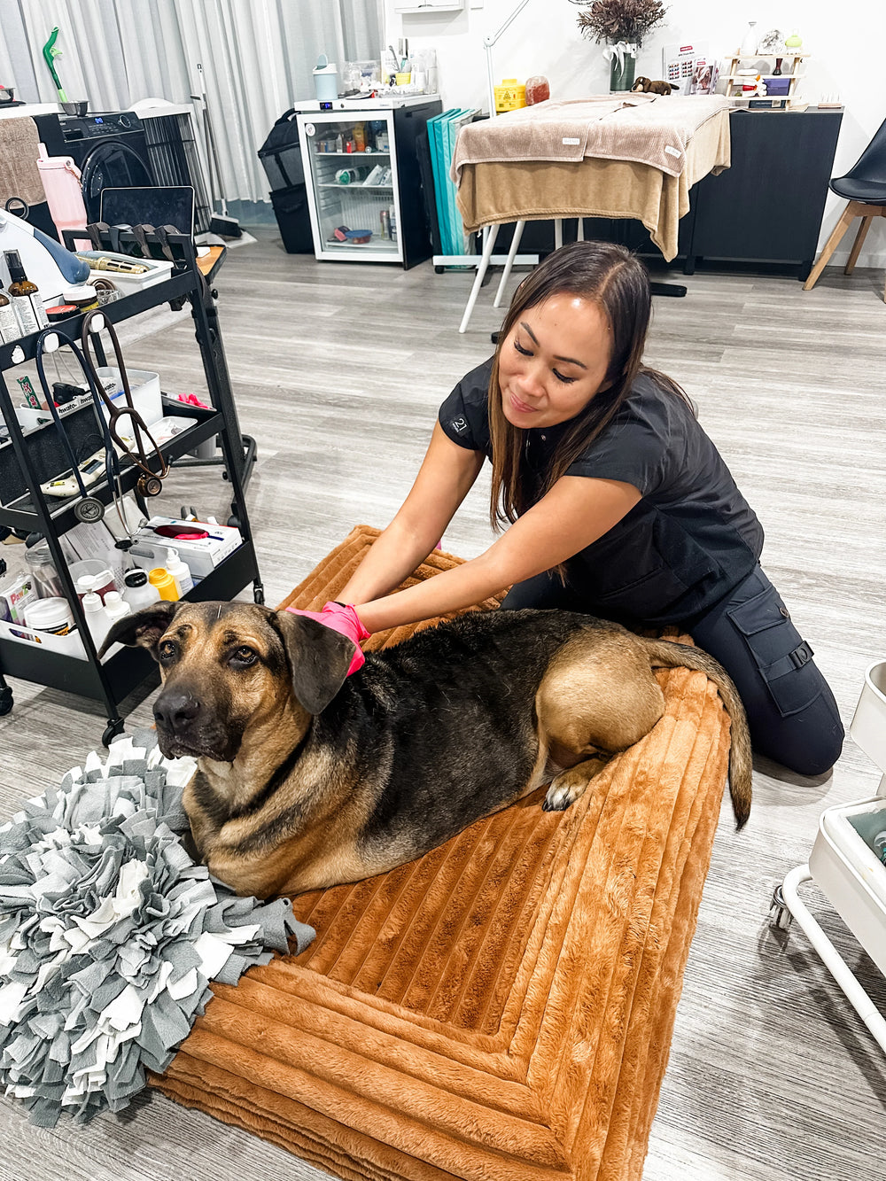 Dr. Alison Shen · BVSc · CVA · CCRP · The Acupuncture Vet, Brisbane