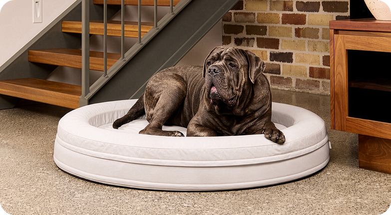 Cooling Round Bed