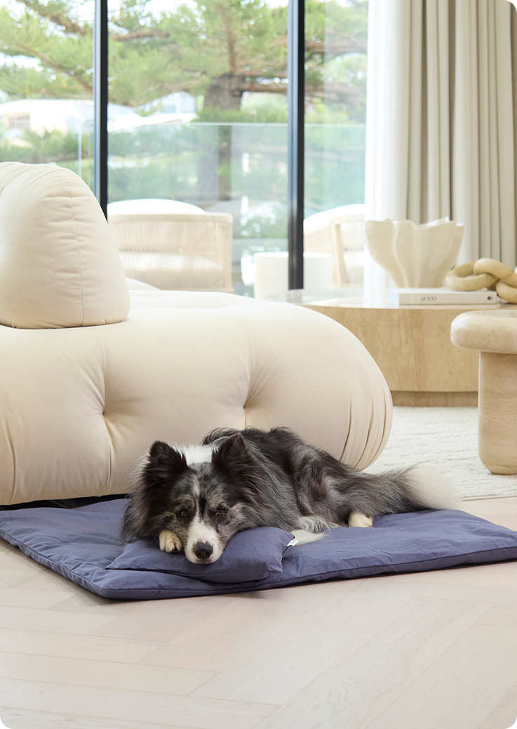 Lounger