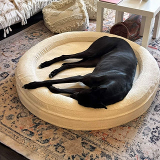 Round Memory Foam Dog Bed - Bouclé Ivory