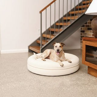 Round Memory Foam Dog Bed - Bouclé Ivory