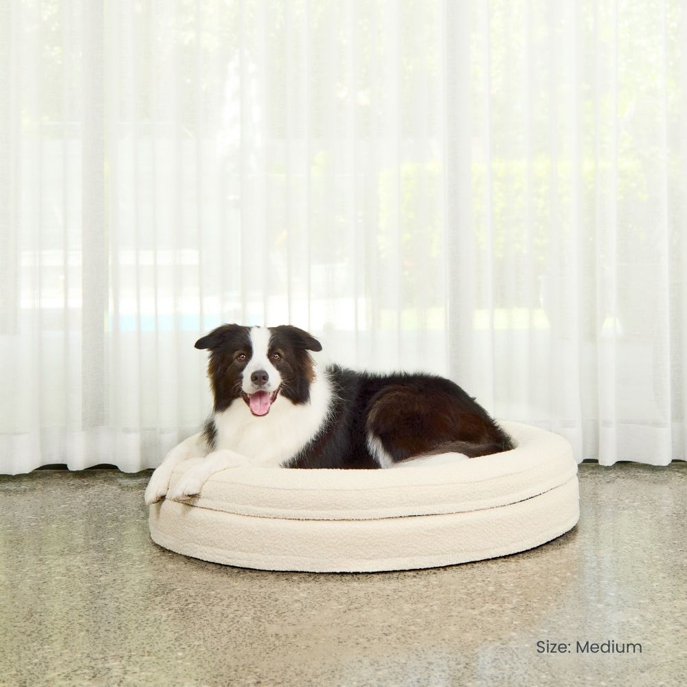 Round Memory Foam Dog Bed - Bouclé Ivory