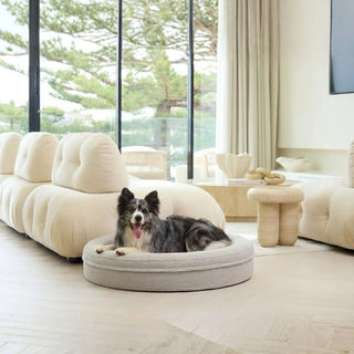 Round Memory Foam Dog Bed - Bouclé Pebble