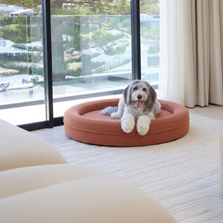 Round Memory Foam Dog Bed - Bouclé Terracotta