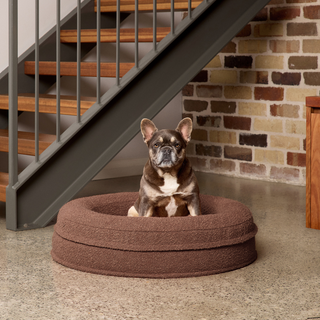 [PRESALE] Round Orthopaedic Dog Bed