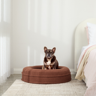 [PRESALE] Round Orthopaedic Dog Bed