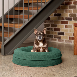 [PRESALE] Round Orthopaedic Dog Bed
