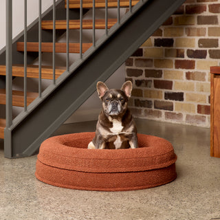 [PRESALE] Round Orthopaedic Dog Bed