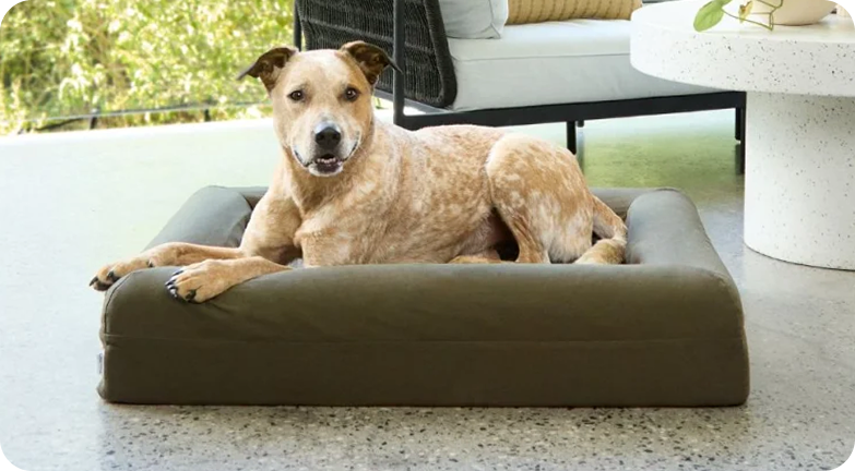 Cooling Signature Bed