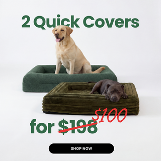 2 for $100 Quick Covers Size Large