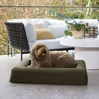 Cooling Dog Bed - Seaweed Memory Foam